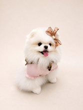 画像をギャラリービューアに読み込む, 【boocce / 予約】BONBON PUPPY MUFFLER（Brown）
