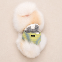 画像をギャラリービューアに読み込む, 【boocce / 予約】BONBON PUPPY MUFFLER（Mint）
