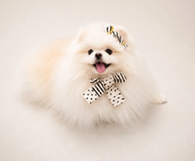 画像をギャラリービューアに読み込む, 【boocce / 予約】BONBON PUPPY MUFFLER（Ivory）
