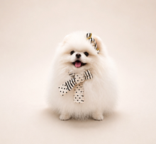 画像をギャラリービューアに読み込む, 【boocce / 予約】BONBON PUPPY MUFFLER（Ivory）
