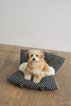 画像をギャラリービューアに読み込む, 【APERTY / 予約】wide bag（2025AW新作 / dot）
