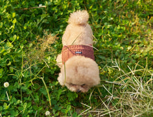 画像をギャラリービューアに読み込む, 【boocce / 予約】CABLE KNIT MUFFLER(Brown)
