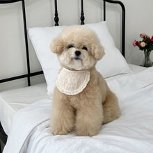 画像をギャラリービューアに読み込む, 【eyou / 予約】キャンディーバービブ
