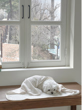 画像をギャラリービューアに読み込む, 【eyou / 予約】ベルベティブランケット
