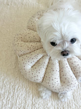 画像をギャラリービューアに読み込む, 【eyou / 予約】ピアナネックカラー - Soft blossom
