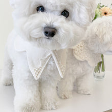 画像をギャラリービューアに読み込む, 【eyou / 予約】White day cape（flower）
