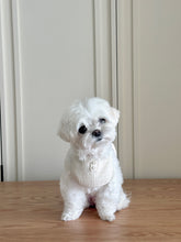 画像をギャラリービューアに読み込む, 【eyou / 予約】リンクルベベニブ
