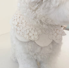 画像をギャラリービューアに読み込む, 【eyou / 予約】White day cape（flower）
