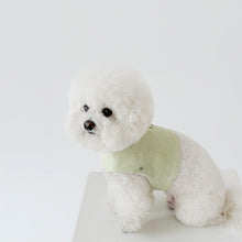 画像をギャラリービューアに読み込む, 【eyou / 予約】ピグメントハーネス
