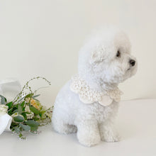 画像をギャラリービューアに読み込む, 【eyou / 予約】White day cape（flower）
