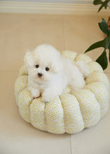 画像をギャラリービューアに読み込む, 【azalea / 予約】カヌレクッション（violet）
