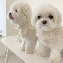 画像をギャラリービューアに読み込む, 【eyou / 予約】White day cape（flower）
