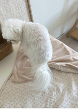 画像をギャラリービューアに読み込む, 【eyou / 予約】ベロアブランケット
