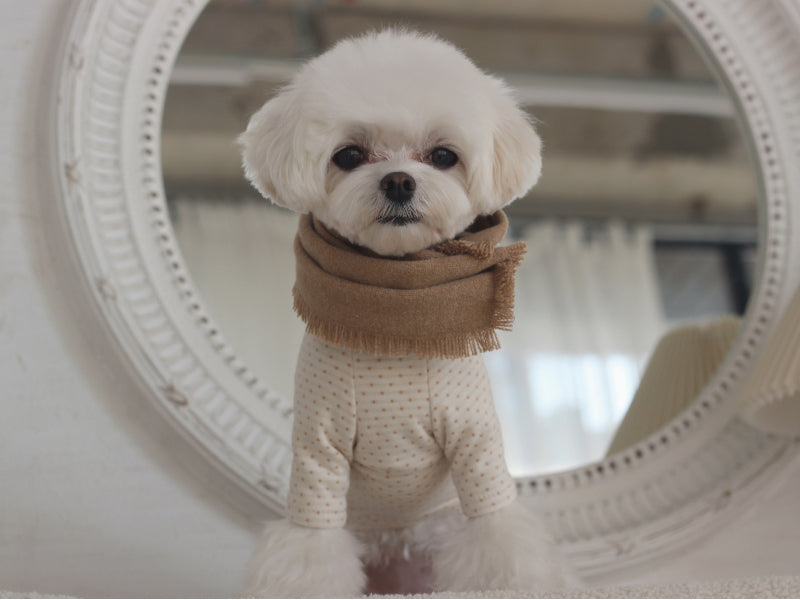 【eyou / 即納】ソリッドマフラー - ベージュ