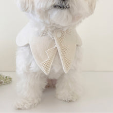 画像をギャラリービューアに読み込む, 【eyou / 予約】White day cape（flower）
