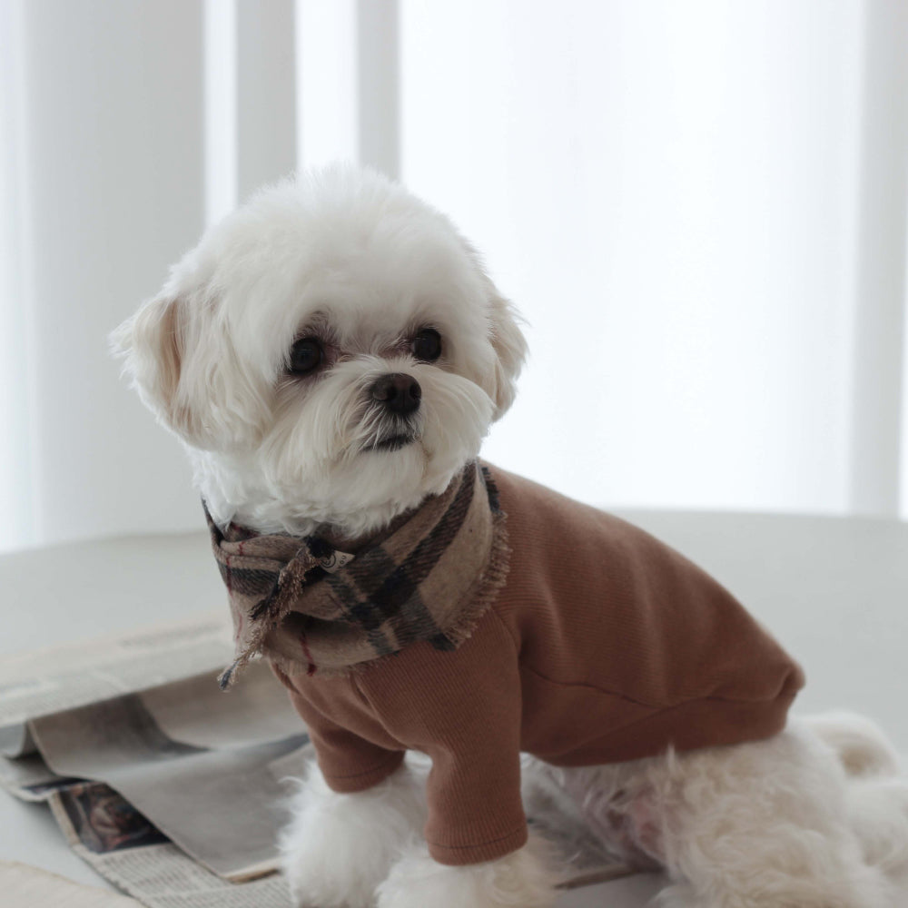 【eyou / 即納】チェックマフラー - キャメル