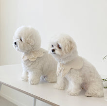 画像をギャラリービューアに読み込む, 【eyou / 予約】White day cape（flower）
