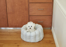 画像をギャラリービューアに読み込む, 【azalea / 予約】カヌレクッション（sky）
