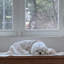 画像をギャラリービューアに読み込む, 【eyou / 予約】ベルベティブランケット
