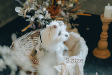 画像をギャラリービューアに読み込む, 《受注販売》monmoのわんこの花かんむり
