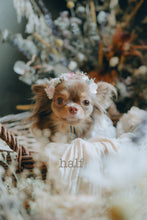 画像をギャラリービューアに読み込む, 《受注販売》monmoのわんこの花かんむり
