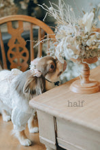 画像をギャラリービューアに読み込む, 《受注販売》monmoのわんこの花かんむり
