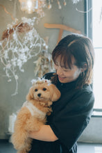 画像をギャラリービューアに読み込む, 【12 / 14（土）】わんこ撮影会ご予約ページ《photographer おたけさん》
