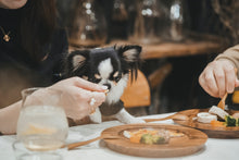 画像をギャラリービューアに読み込む, 【tesoro】わんこピザのお届け便 🍕
