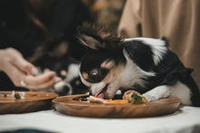 画像をギャラリービューアに読み込む, 【tesoro】わんこピザのお届け便 🍕
