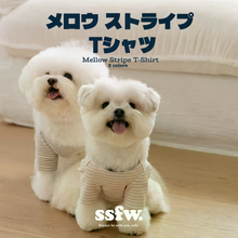 画像をギャラリービューアに読み込む, 【ssfw / 新作予約】メロウ ストライプTシャツ
