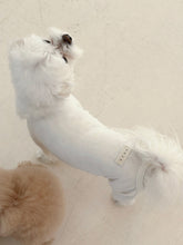 画像をギャラリービューアに読み込む, 【eyou / 即納】モッツァレラオールインワン
