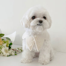 画像をギャラリービューアに読み込む, 【eyou / 予約】White day cape（flower）
