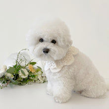 画像をギャラリービューアに読み込む, 【eyou / 予約】White day cape（flower）
