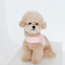 画像をギャラリービューアに読み込む, 【eyou / 予約】ピグメントハーネス
