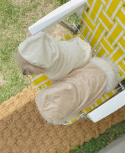 画像をギャラリービューアに読み込む, 【eyou / 予約】テリーローブガウン
