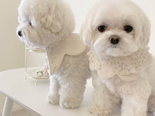 画像をギャラリービューアに読み込む, 【eyou / 予約】White day cape（flower）
