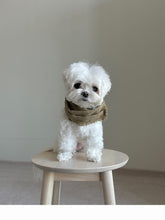 画像をギャラリービューアに読み込む, 【eyou / 予約】ソリッドマフラー - Wool
