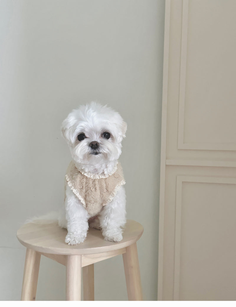 【eyou / 即納】ボードリーセーター