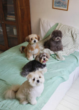 画像をギャラリービューアに読み込む, 【ohdibs / 予約】Grandma Blanket _ green
