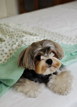 画像をギャラリービューアに読み込む, 【ohdibs / 予約】Grandma Blanket _ green
