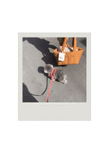 画像をギャラリービューアに読み込む, 【ohdibs / 予約】capeness no.11 leash _ Brick Red(リード)
