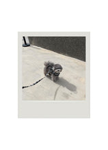 画像をギャラリービューアに読み込む, 【ohdibs / 予約】capeness no.12 leash _ Black check（リード）
