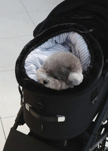 画像をギャラリービューアに読み込む, 【ohdibs / 予約】Snuggle Room _ black
