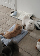 画像をギャラリービューアに読み込む, 【ohdibs / 予約】Homey Warmy Topper - Full Layer Set（5color）
