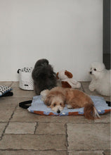 画像をギャラリービューアに読み込む, 【ohdibs / 予約】Homey Warmy Topper - Snap Cover
