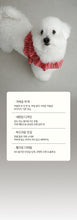 画像をギャラリービューアに読み込む, 【ohdibs / 予約】capeness no.15 _ Red check（ケープネス）
