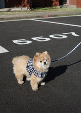 画像をギャラリービューアに読み込む, 【ohdibs / 予約】capeness no.16 leash _ Navy check（リード）
