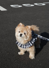 画像をギャラリービューアに読み込む, 【ohdibs / 予約】capeness no.16 _ Navy check（ケープネス）
