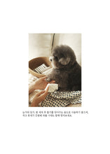 画像をギャラリービューアに読み込む, 【ohdibs / 予約】2026新作 daily cotton towel
